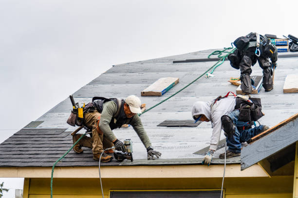 Professional Gutter Installation technician working in Weirsdale, FL